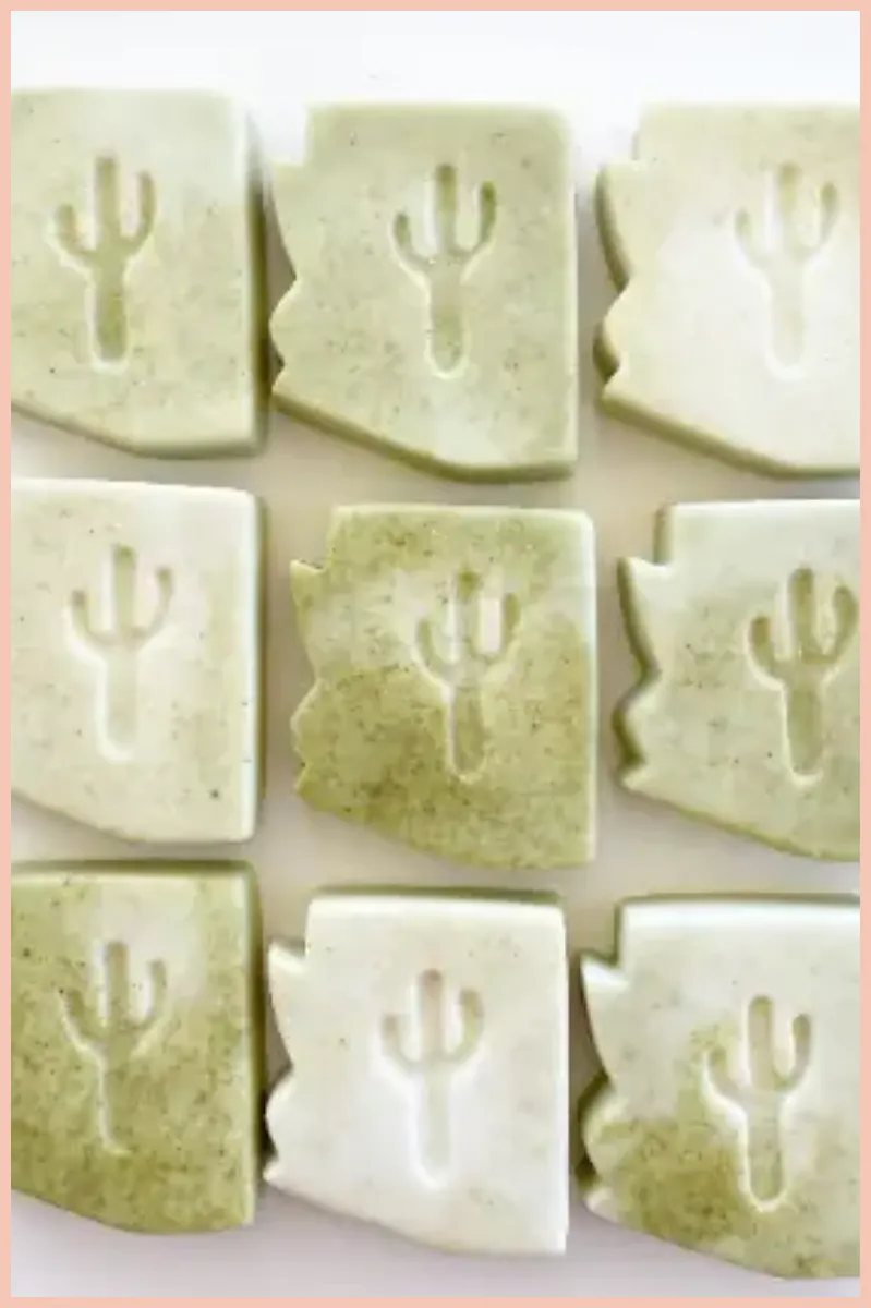 Arizona Bar Soap | Agave