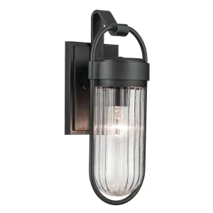Brix 16 In 1-Light Outdoor Wall Light With Clear Glass, Black Finish