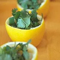 Citrus & Cilantro - Premium Fragrance Oil