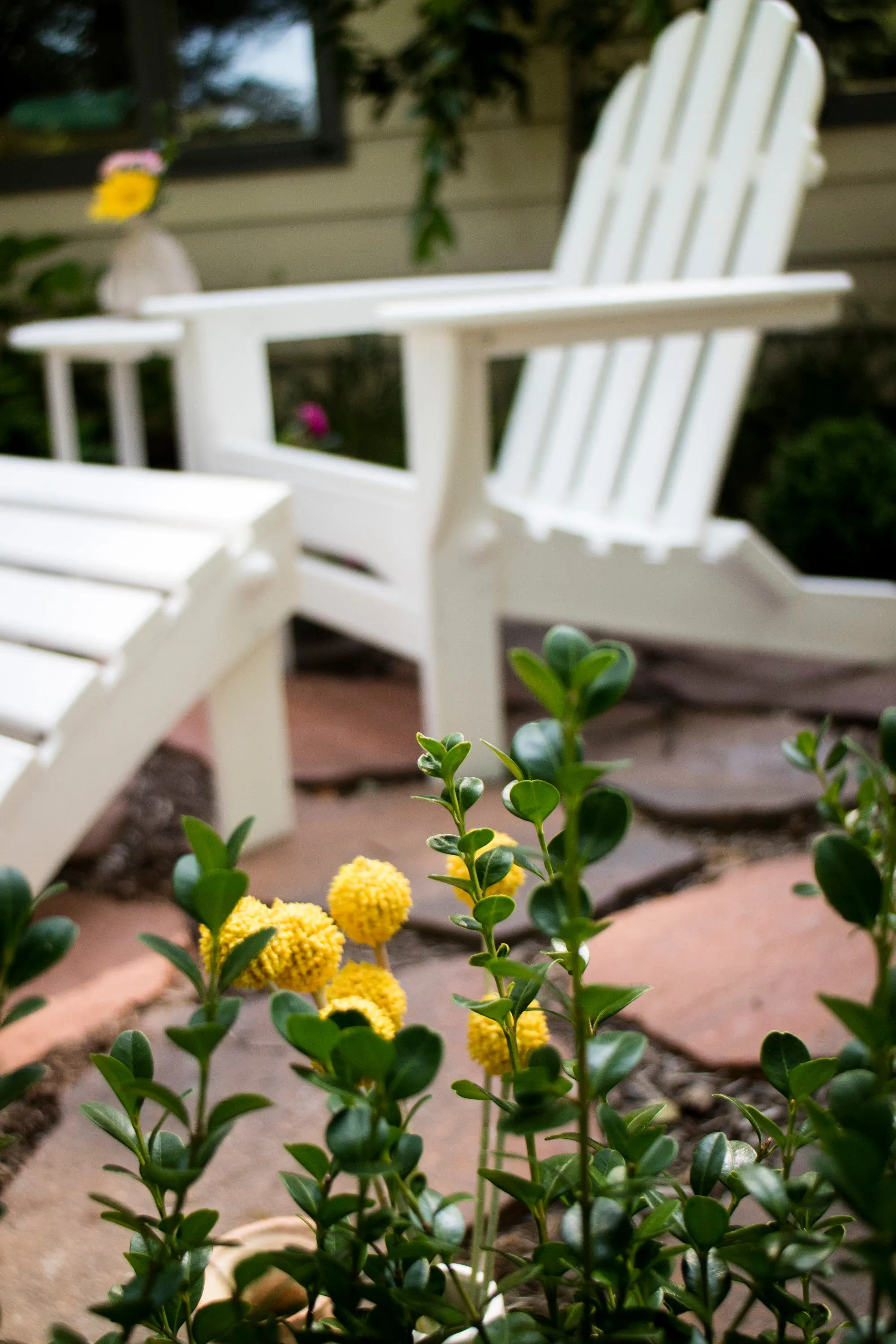 Classic Adirondack 5-Piece Casual Set