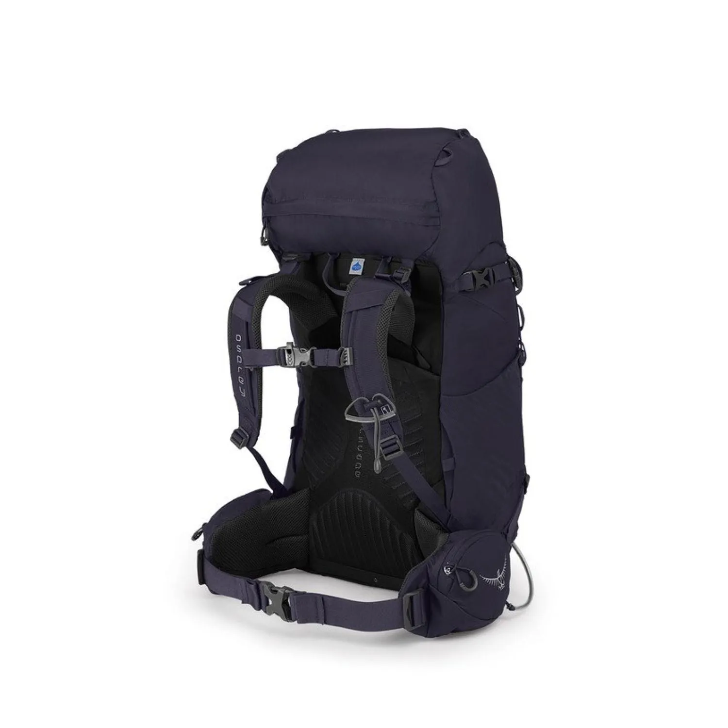 Osprey Kyte 36 Backpack - Extra Small/Small - Women's Backpacking - Day Hiking
