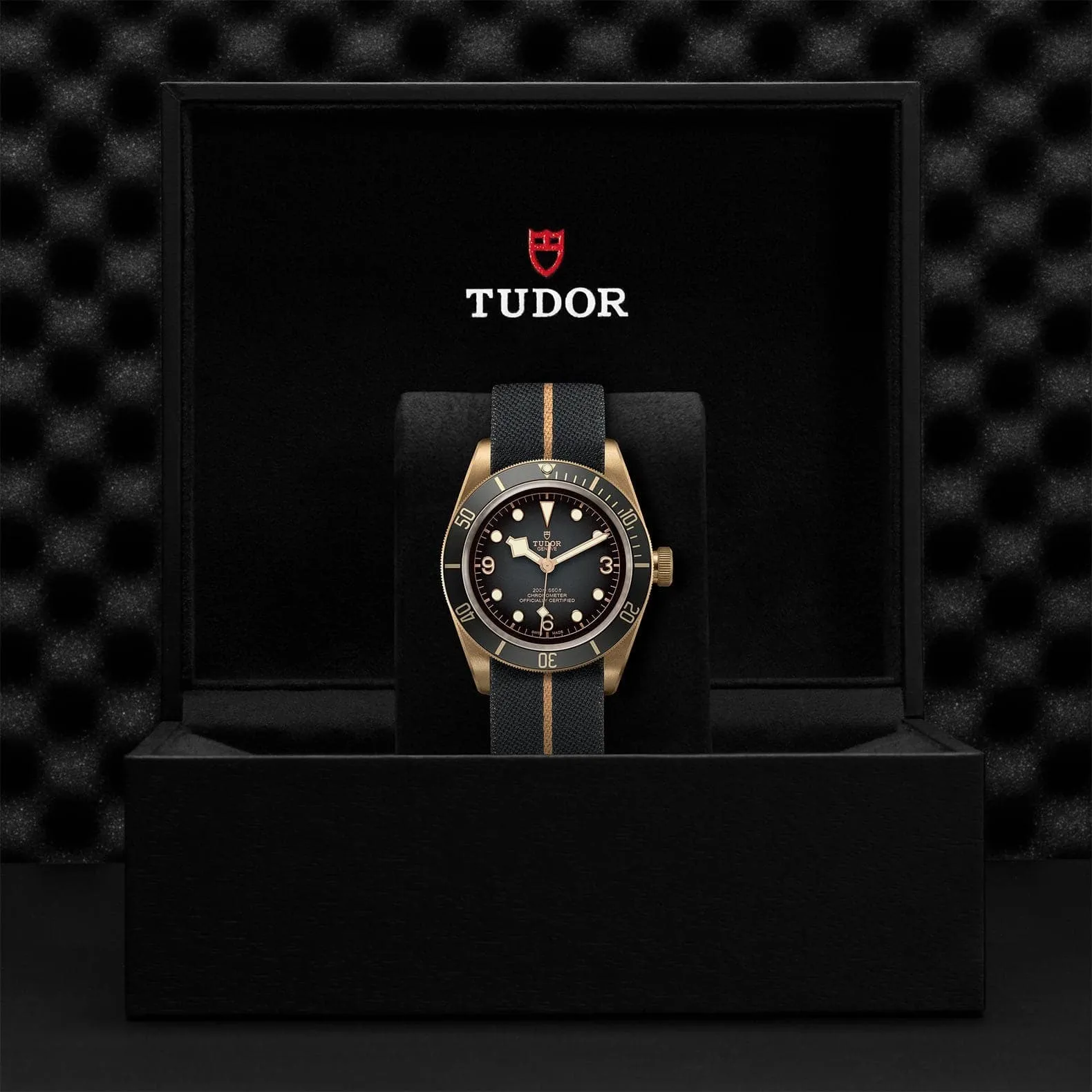 TUDOR Black Bay Bronze 43mm Men's Watch - M79250BA-0002